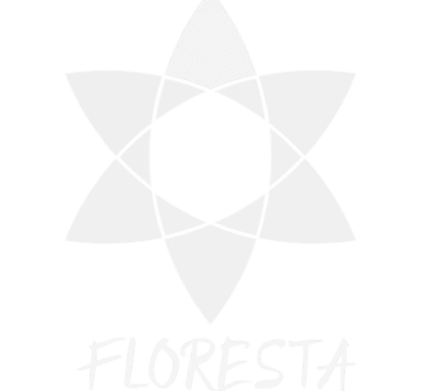 Bosque Medicinal